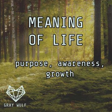 Meaning-of-Life